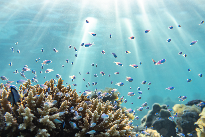 Export - WEB - 2023 Polynésie-29