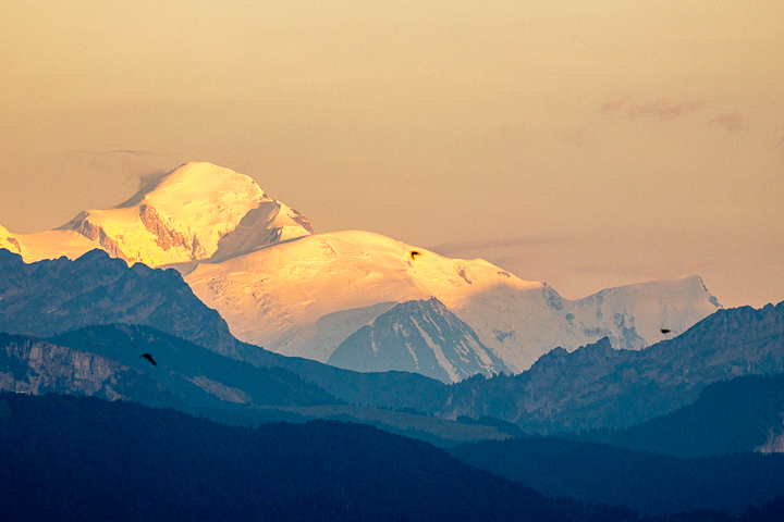 Export - WEB - 2024-07 Suisse-8